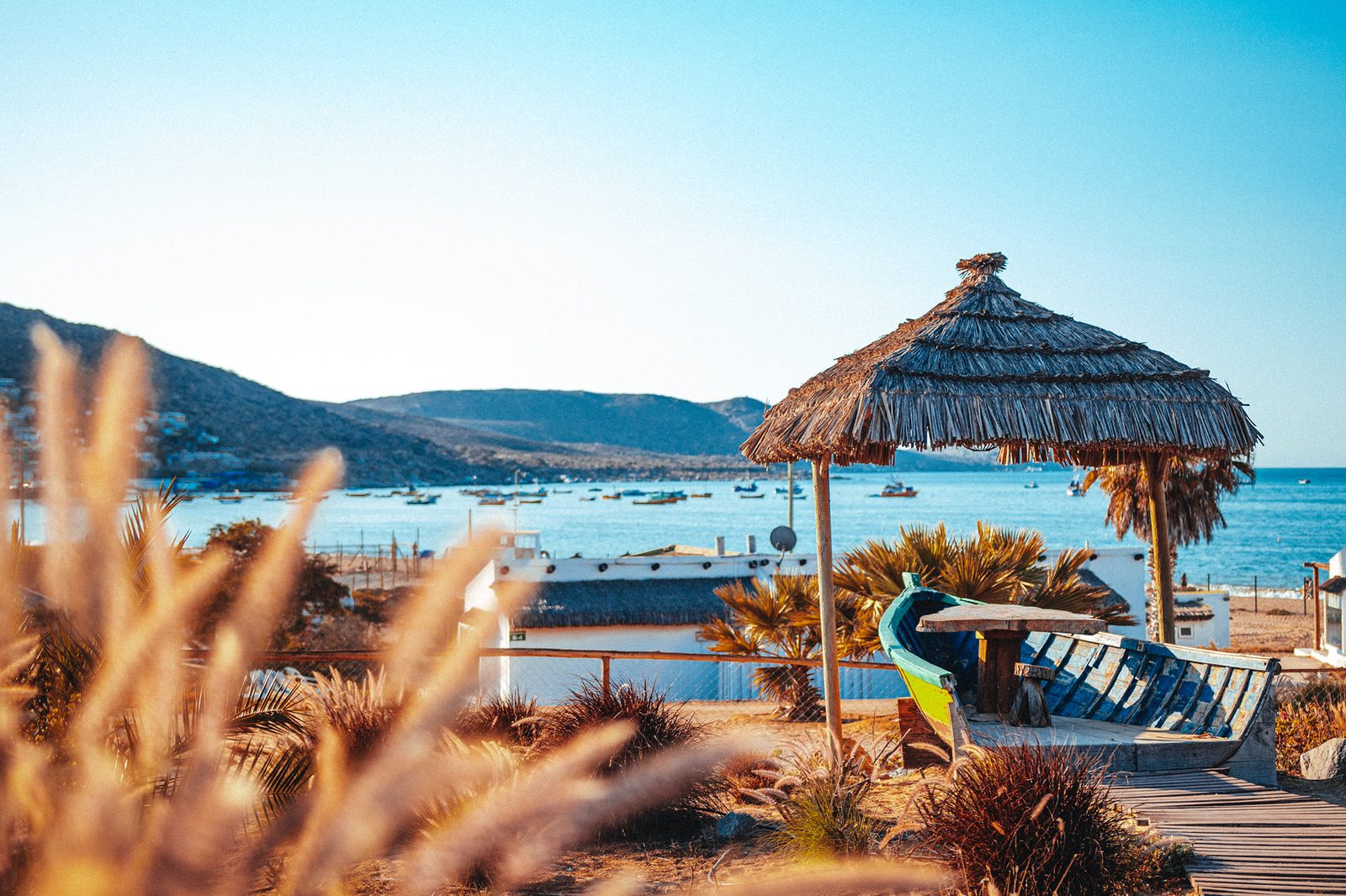Playa de Guanaqueros con palmeras y aguas turquesas